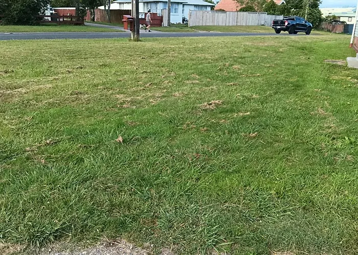 3 Bedrooms Lounge And Kitchen And Bathroom And Laundry Rotorua